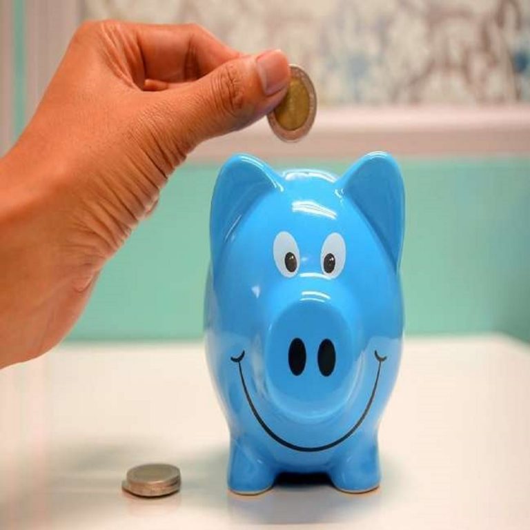 GOVERNMENT-BACKED ALTERNATIVES TO SMALL SAVINGS SCHEME