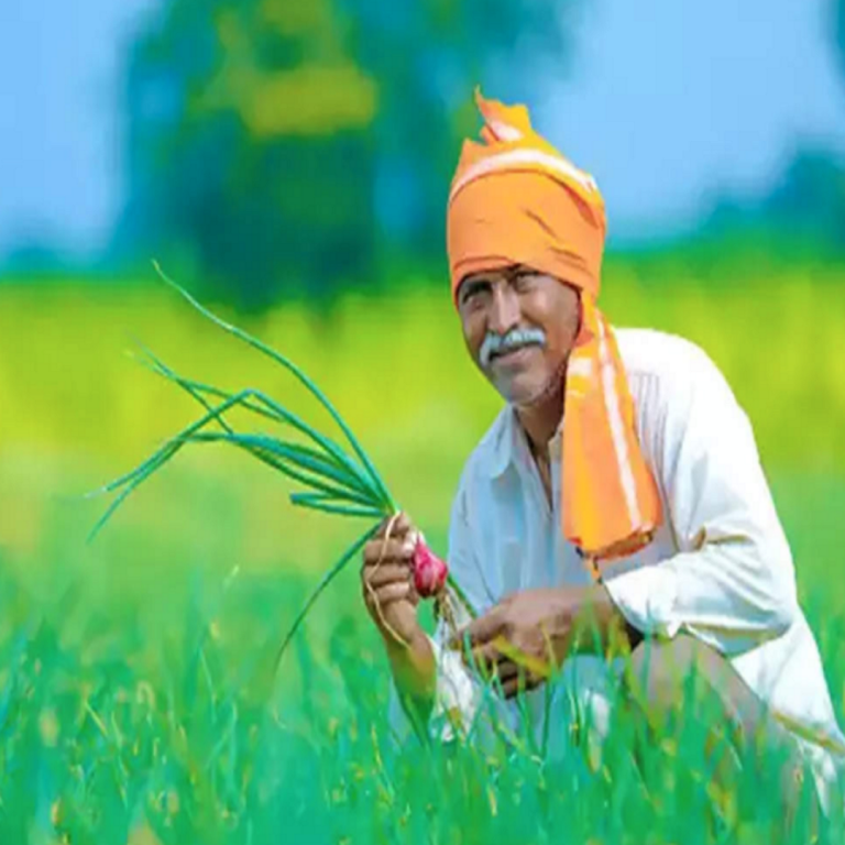 10th installment of PM Kisan will not come without eKYC! Check your name in the list now