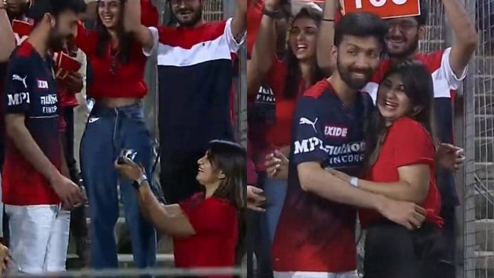 CSK vs RCB IPL 2022 Girl proposed to RCB fan in stadium, users said - IPL or matrimony