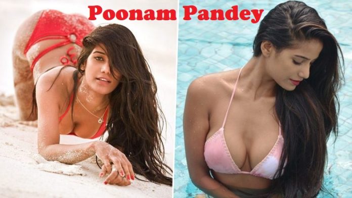 Poonam-Pandey-Bikini-Newsstore24