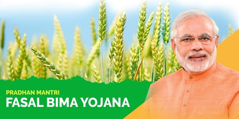 PM Fasal Bima Yojana: Take advantage of the government’s programme that offers compensation for crops damaged by rain or storms.