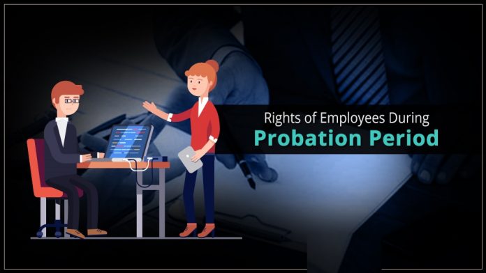Probation Period Newsstore24