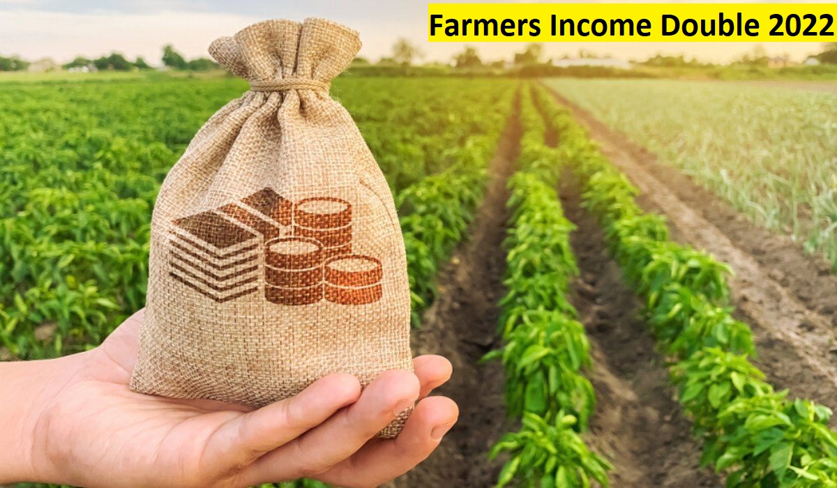 Farmers’ income will be doubled in 2022, the government took this big decision