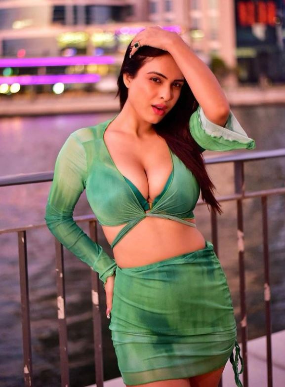 Neha Malik Sexy Pic