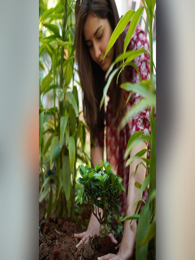 Rashi Khanna celebrated her birthday by planting a plant in the garden