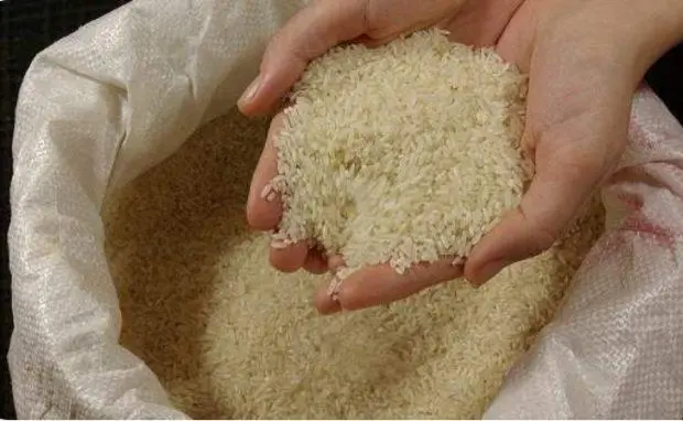 Wheat & rice