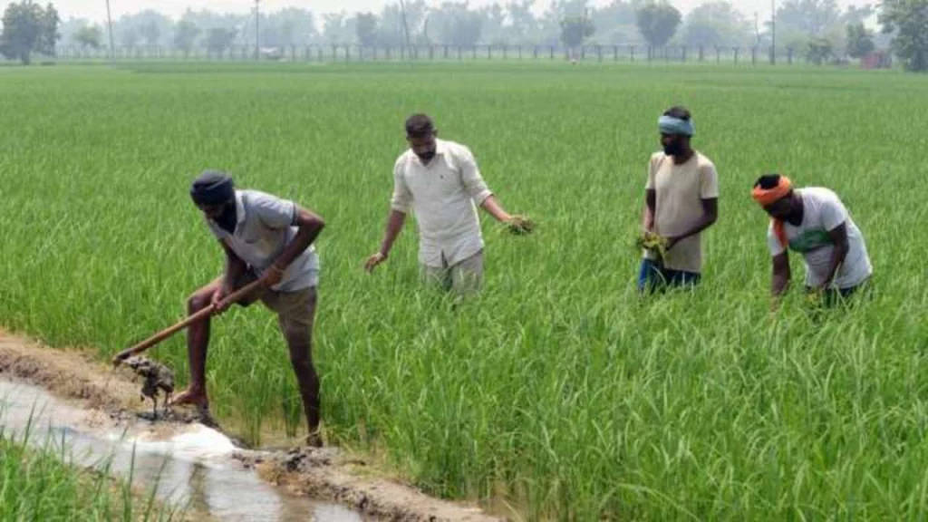 The PM-Kisan program initially primarily benefited
