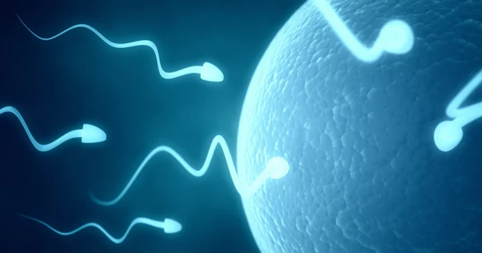 World's First Live Sperm Race