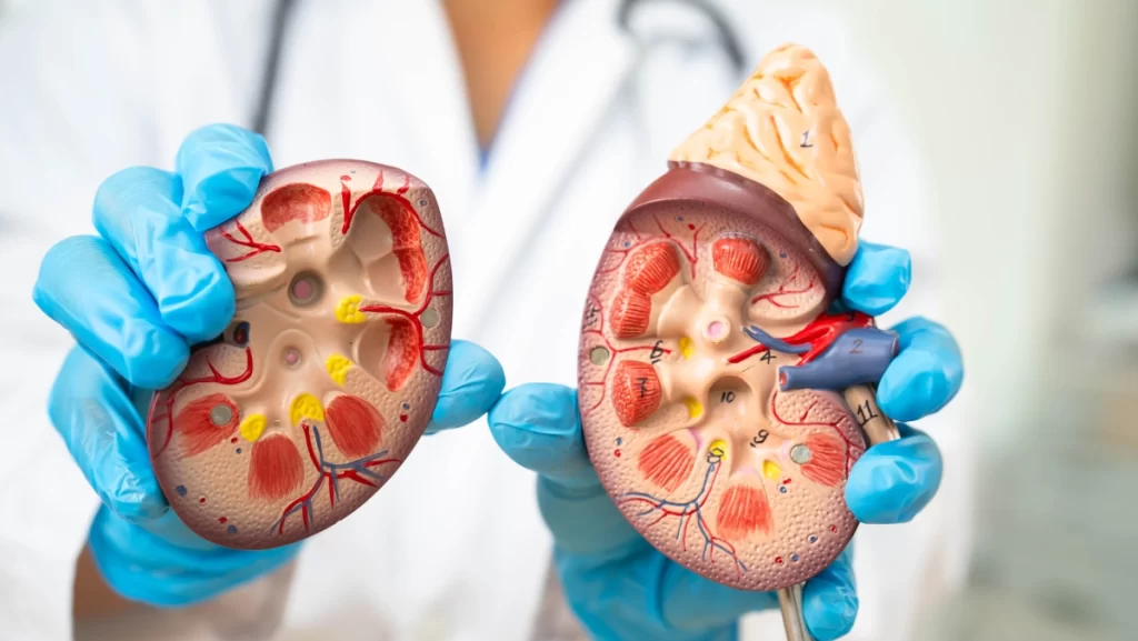 Health Tips for Diabetic Kidneys