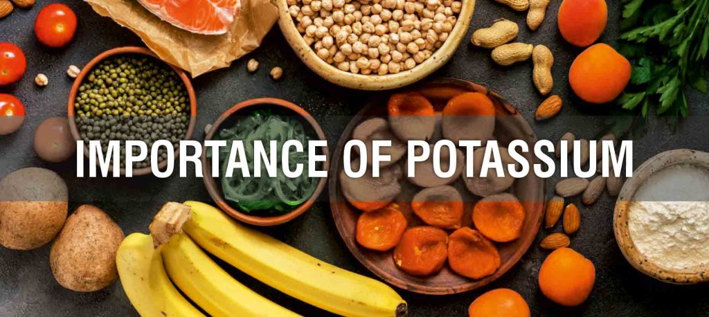 Why is potassium important?
