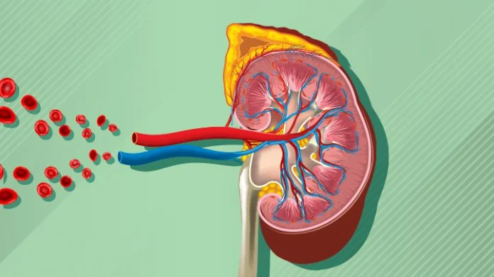 5 Kidney Risks Every Diabetic Must Know