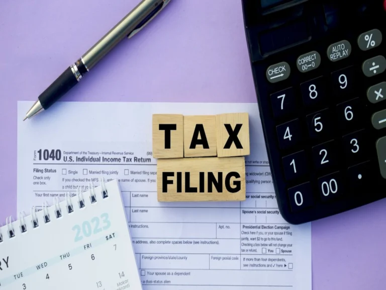 Income Tax Filing