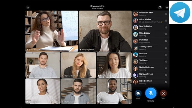Telegram Encrypted Video Call