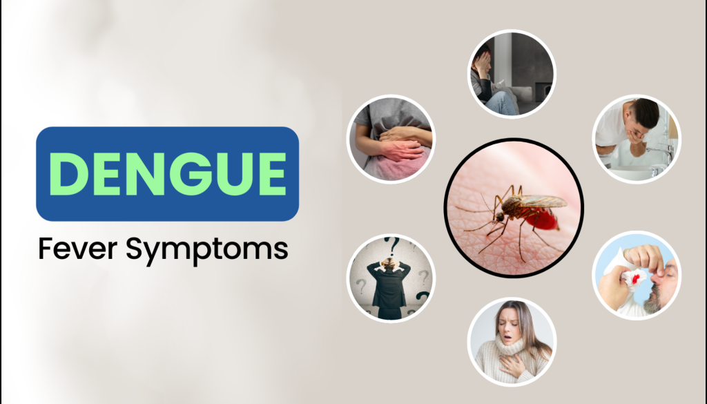 Dengue symptoms