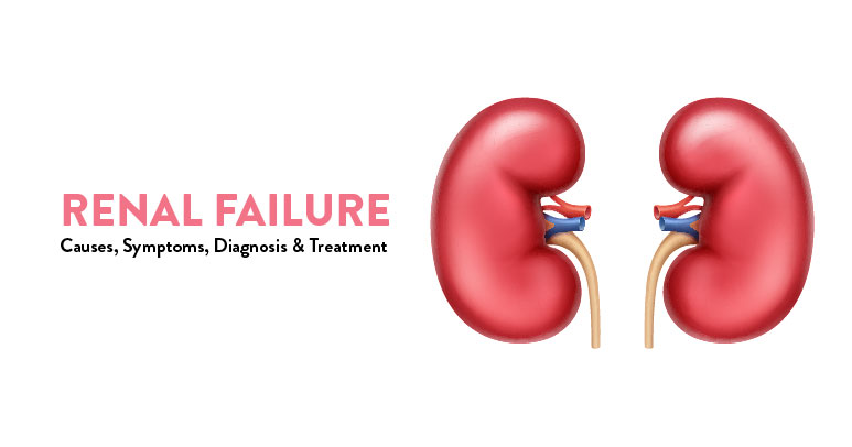 Failure of the kidneys