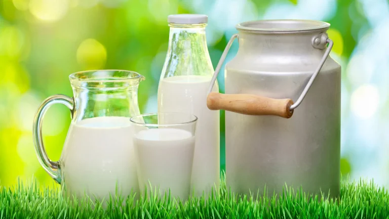 Drinking Milk Empty Stomach: Pros And Cons