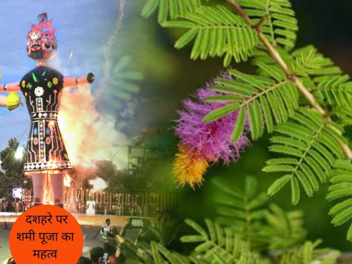 Shami Puja On Vijayadashami