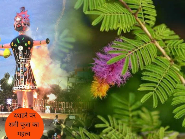 Shami Puja On Vijayadashami